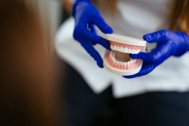 Best Dental X-Rays and Imaging  in Nellieburg, MS